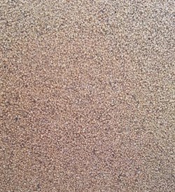 Оливковые  косточки, гранулы 10г 2000101 - фото 6882