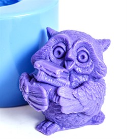 Сова с книгами 3D силиконовая форма 152282 - фото 7652