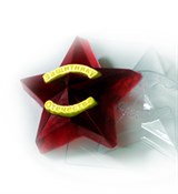 Звезда защитнику форма пластиковая 151044