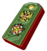Погон маршала форма пластиковая 151066