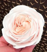Роза Остин 3D силиконовая форма 152439